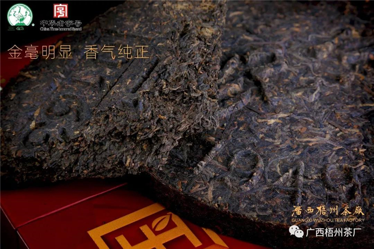 微信圖片_20190918080604_副本.jpg