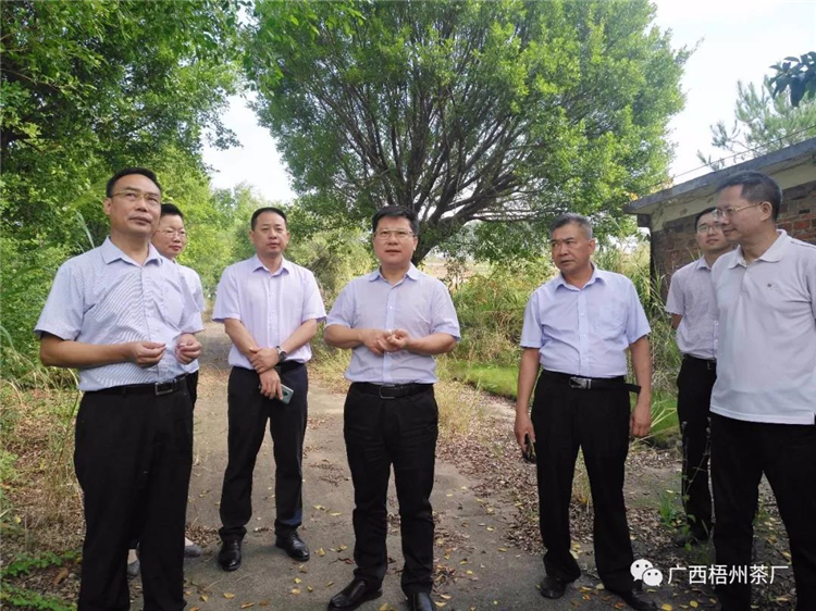 微信圖片_20190929171356_副本.jpg